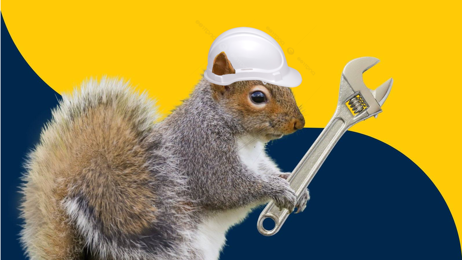 Squirrel holding a wrench